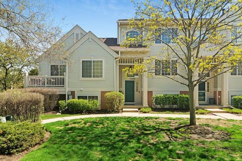 1365 New Haven Drive Cary IL 60013
