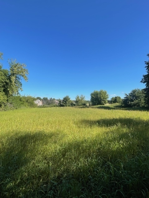 6878 September Lot #20 Boulevard