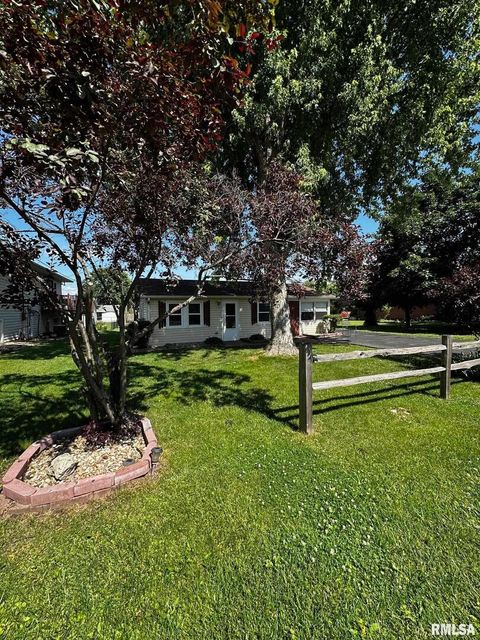 Tiny photo for 920 5TH Street, Colona, IL 61241 (MLS # QC4264439)