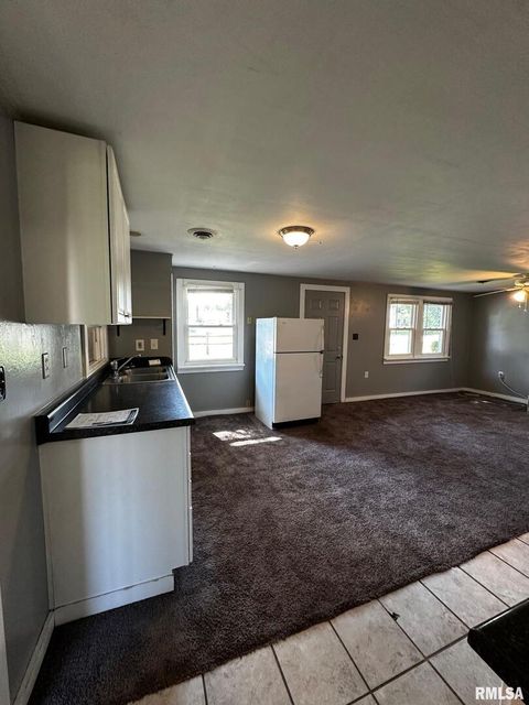 Tiny photo for 920 5TH Street, Colona, IL 61241 (MLS # QC4264439)