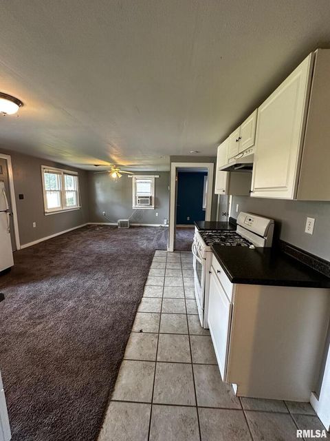 Tiny photo for 920 5TH Street, Colona, IL 61241 (MLS # QC4264439)