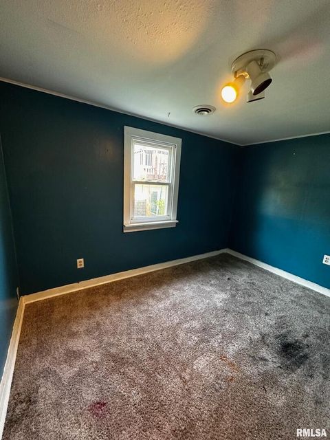 Tiny photo for 920 5TH Street, Colona, IL 61241 (MLS # QC4264439)