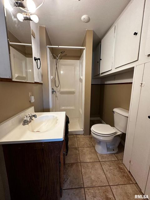 Tiny photo for 920 5TH Street, Colona, IL 61241 (MLS # QC4264439)