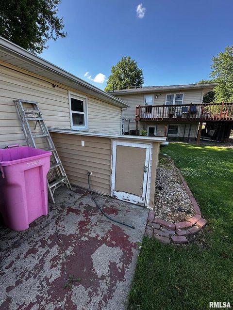 Tiny photo for 920 5TH Street, Colona, IL 61241 (MLS # QC4264439)