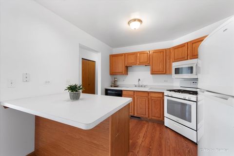 Tiny photo for 1740 Pine Street, McHenry, IL 60051 (MLS # 12533226)