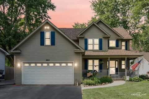 925 Suzy Street Lake Holiday IL 60548