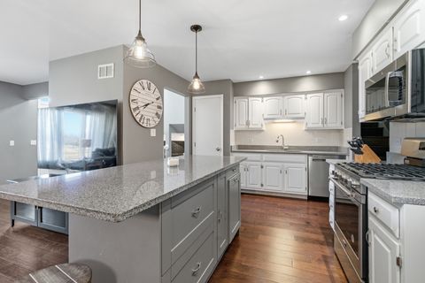 Tiny photo for 10641 Rachel Lane #3, Orland Park, IL 60467 (MLS # 12656672)