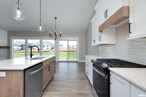 Tiny photo for 11 Viola Drive, Le Claire, IA 52753 (MLS # QC4267793)