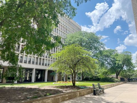 Tiny photo for 1401 E 55TH Street #815N, Chicago, IL 60615 (MLS # 12493895)
