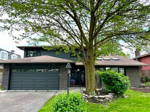 10427 S Alta Drive Palos Hills IL 60465