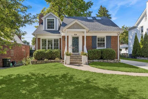 Photo of 524 S Ashland Avenue, La Grange, IL 60525 (MLS # 12482770)