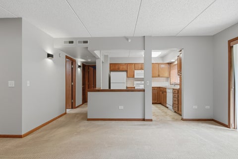 Tiny photo for 10 S Wille Street #209, Mount Prospect, IL 60056 (MLS # 12703503)
