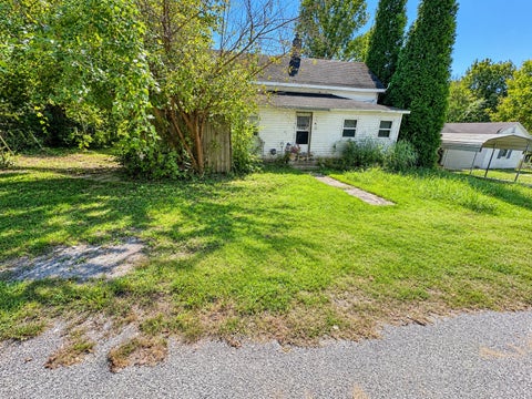 Photo of 341 Mclean Street, Rosiclare, IL 62982 (MLS # 12763860)