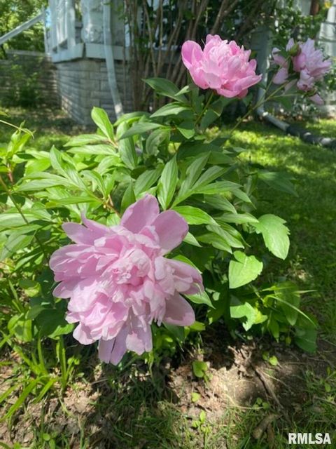 Tiny photo for 506 S 20TH Street, Murphysboro, IL 62966 (MLS # EB460292)