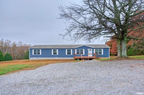 Tiny photo for 890 Gilead Church Road, Vienna, IL 62995 (MLS # EB460557)