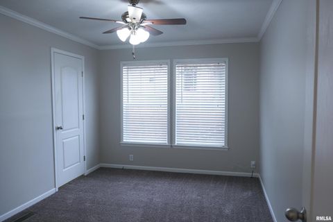 Tiny photo for 890 Gilead Church Road, Vienna, IL 62995 (MLS # EB460557)