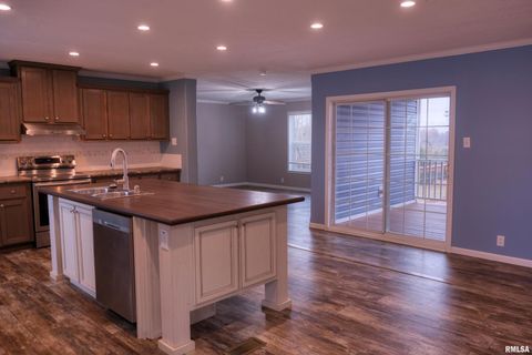 Tiny photo for 890 Gilead Church Road, Vienna, IL 62995 (MLS # EB460557)