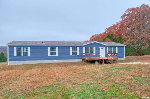 Tiny photo for 890 Gilead Church Road, Vienna, IL 62995 (MLS # EB460557)