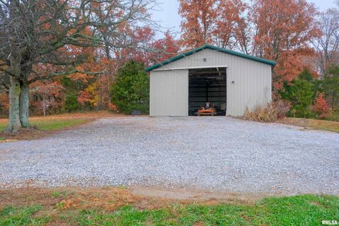 Tiny photo for 890 Gilead Church Road, Vienna, IL 62995 (MLS # EB460557)