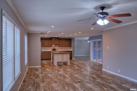 Tiny photo for 890 Gilead Church Road, Vienna, IL 62995 (MLS # EB460557)