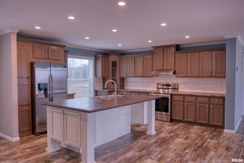 Tiny photo for 890 Gilead Church Road, Vienna, IL 62995 (MLS # EB460557)