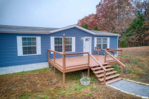 Tiny photo for 890 Gilead Church Road, Vienna, IL 62995 (MLS # EB460557)