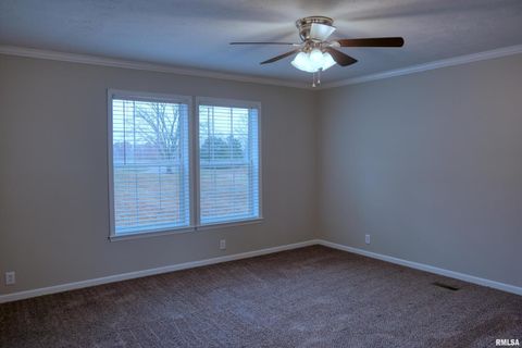 Tiny photo for 890 Gilead Church Road, Vienna, IL 62995 (MLS # EB460557)