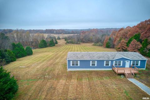 Tiny photo for 890 Gilead Church Road, Vienna, IL 62995 (MLS # EB460557)