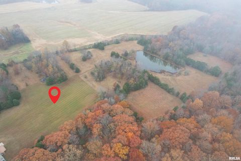 Tiny photo for 890 Gilead Church Road, Vienna, IL 62995 (MLS # EB460557)