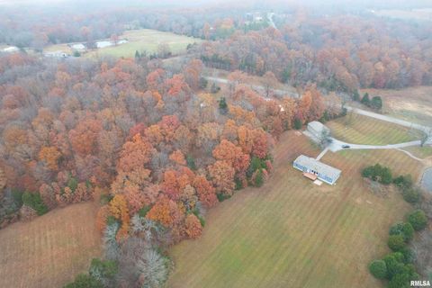 Tiny photo for 890 Gilead Church Road, Vienna, IL 62995 (MLS # EB460557)