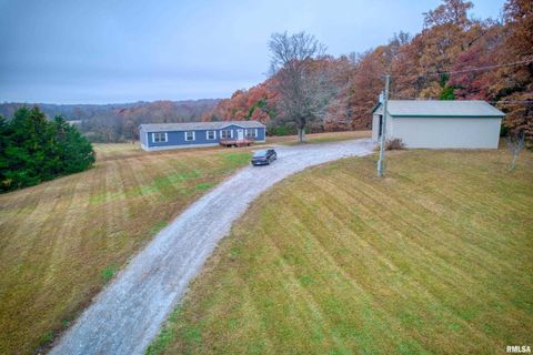 Tiny photo for 890 Gilead Church Road, Vienna, IL 62995 (MLS # EB460557)