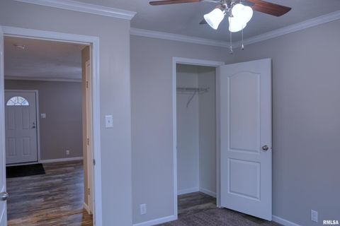 Tiny photo for 890 Gilead Church Road, Vienna, IL 62995 (MLS # EB460557)