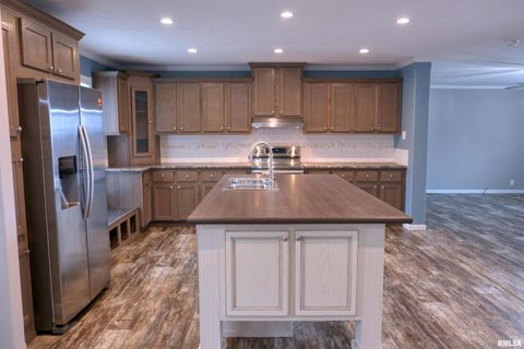 Tiny photo for 890 Gilead Church Road, Vienna, IL 62995 (MLS # EB460557)