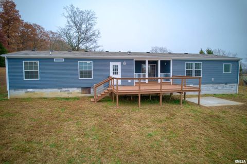 Tiny photo for 890 Gilead Church Road, Vienna, IL 62995 (MLS # EB460557)