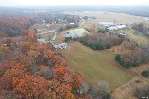 Tiny photo for 890 Gilead Church Road, Vienna, IL 62995 (MLS # EB460557)