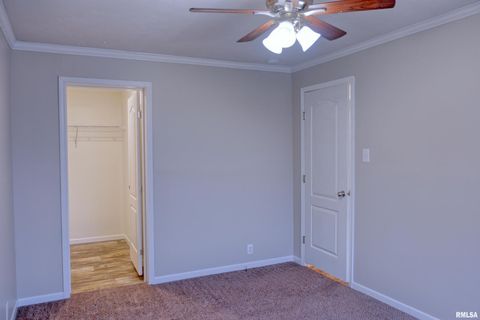 Tiny photo for 890 Gilead Church Road, Vienna, IL 62995 (MLS # EB460557)