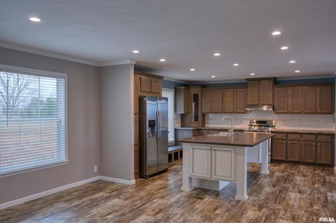 Tiny photo for 890 Gilead Church Road, Vienna, IL 62995 (MLS # EB460557)