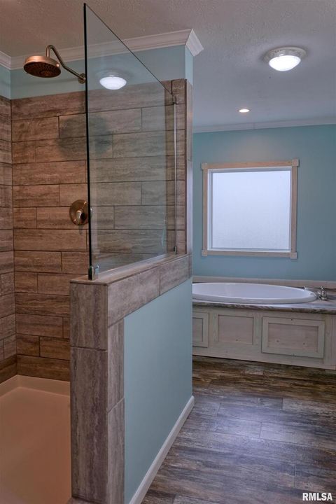 Tiny photo for 890 Gilead Church Road, Vienna, IL 62995 (MLS # EB460557)