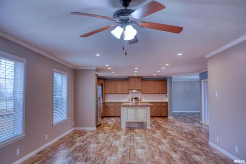 Tiny photo for 890 Gilead Church Road, Vienna, IL 62995 (MLS # EB460557)