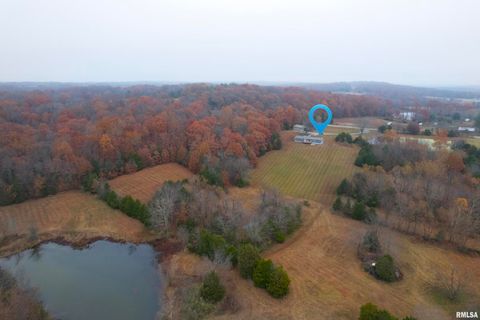 Tiny photo for 890 Gilead Church Road, Vienna, IL 62995 (MLS # EB460557)