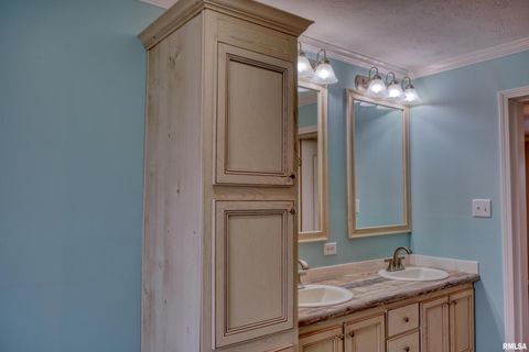 Tiny photo for 890 Gilead Church Road, Vienna, IL 62995 (MLS # EB460557)