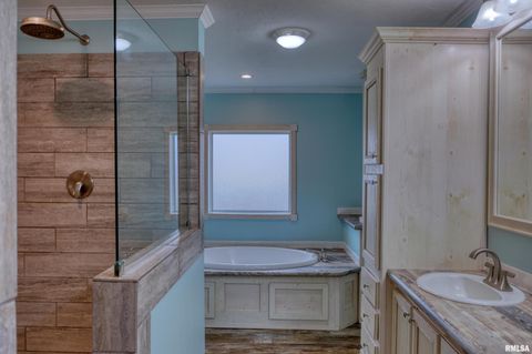 Tiny photo for 890 Gilead Church Road, Vienna, IL 62995 (MLS # EB460557)