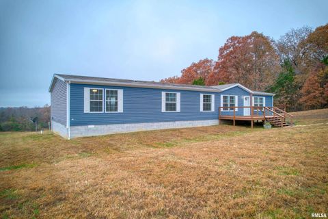 Tiny photo for 890 Gilead Church Road, Vienna, IL 62995 (MLS # EB460557)