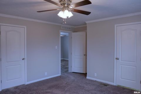 Tiny photo for 890 Gilead Church Road, Vienna, IL 62995 (MLS # EB460557)