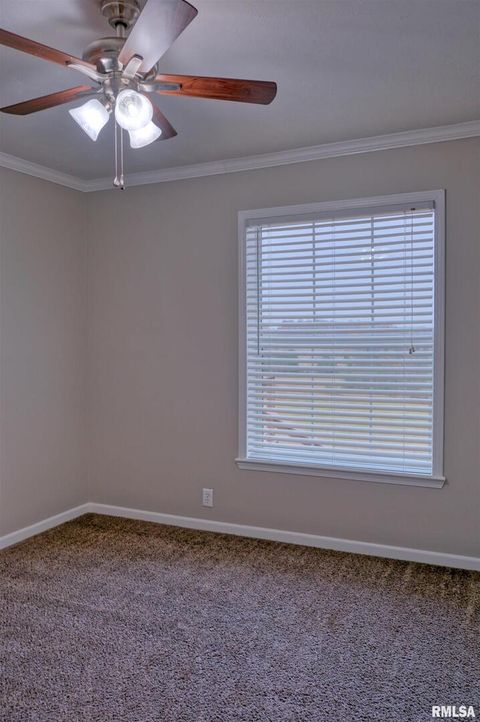 Tiny photo for 890 Gilead Church Road, Vienna, IL 62995 (MLS # EB460557)