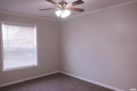 Tiny photo for 890 Gilead Church Road, Vienna, IL 62995 (MLS # EB460557)