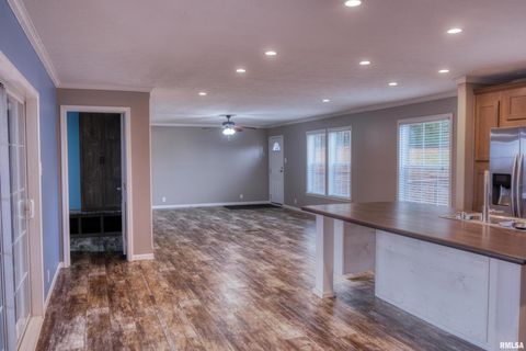 Tiny photo for 890 Gilead Church Road, Vienna, IL 62995 (MLS # EB460557)