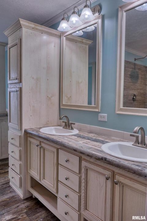 Tiny photo for 890 Gilead Church Road, Vienna, IL 62995 (MLS # EB460557)