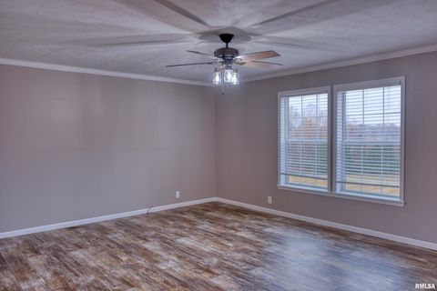 Tiny photo for 890 Gilead Church Road, Vienna, IL 62995 (MLS # EB460557)