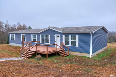 Tiny photo for 890 Gilead Church Road, Vienna, IL 62995 (MLS # EB460557)